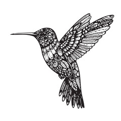 Detailed Hummingbird Illustration Ornate Vector Design of a Delicate Bird in Black and White