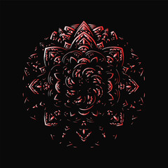 red rose on black background