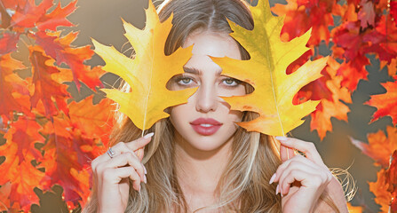 Autumn woman portrait in autumn fall. Woman with fall leaves. Romantic portrait in autumn foliage. Model on autumn nature. Woman with falling leaves.