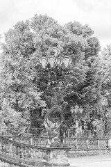 Obraz premium Potsdam in Brandenburg