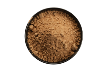 Close up of a dry brown seed pod isolated on transparent background