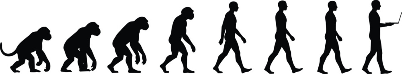 Evolution timeline from primates to humans with laptop, technology progression, silhouette illustration, human transformation, development stages, modern lifestyle