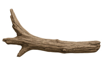 Weathered driftwood branch rendering, realistically textured, transparent background, ideal for natural design compositions