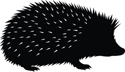 Silhouette of hedgehog with spiky quills, black vector illustration for wildlife, animal education, nature design, nocturnal mammal artwork