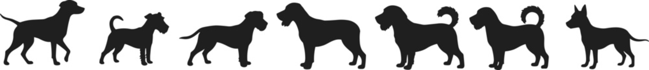 Silhouettes of various dog breeds in a row, pet design, canine shape, black vector illustration, animal posture, stock graphic