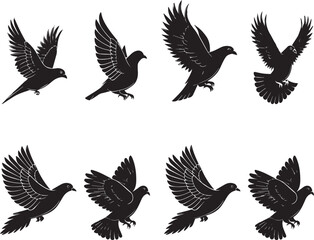 set of pigeon 