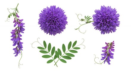 Purple flower arrangement on white background