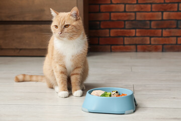 Cat with bowl full of raw natural products indoors, space for text. Pet's balanced diet