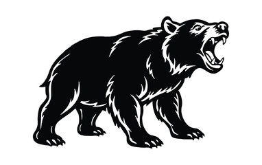 Fierce black bear roaring with open mouth and bared teeth