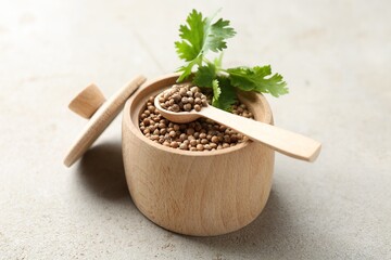 Coriander seeds and fresh cilantro sprig on light textured table, closeup