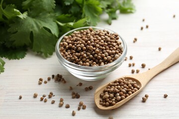 Coriander seeds in bowl, spoon and fresh cilantro leaves on light wooden table, closeup