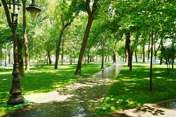 Trail shaded by Lush Green Trees at Turkistan Park in Tashkent, Uzbekistan - ウズベキスタン タシュケント ターキッシュ公園
