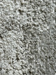 Rough Cement Concrete Wall Texture