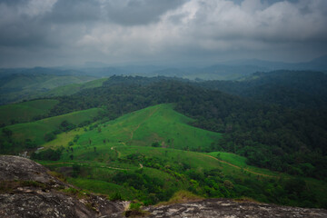 Obraz premium Dense green forest landscape of Idukki Wildlife Sanctuary captured during monsoon in Kerala, India. 