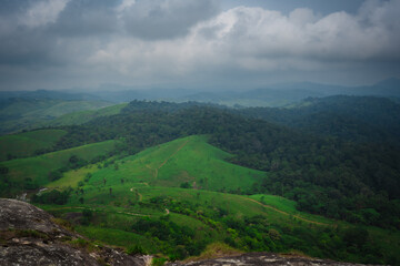 Fototapeta premium Dense green forest landscape of Idukki Wildlife Sanctuary captured during monsoon in Kerala, India. 