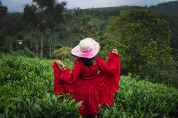 A woman in a red dress and wide-brimmed hat enjoys a peaceful moment in a lush green tea garden surrounded by misty hills and nature.

