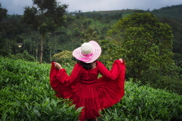A woman in a red dress and wide-brimmed hat enjoys a peaceful moment in a lush green tea garden surrounded by misty hills and nature.


