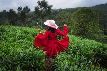 A woman in a red dress and wide-brimmed hat enjoys a peaceful moment in a lush green tea garden surrounded by misty hills and nature.

