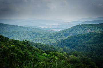 Obraz premium Dense green forest landscape of Idukki Wildlife Sanctuary captured during monsoon in Kerala, India. 