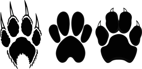 Three bear paw prints are isolated on a transparent background