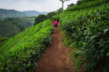 Young Indian woman running through the scenic tea plantations of Kerala, embracing fitness and adventure amidst nature