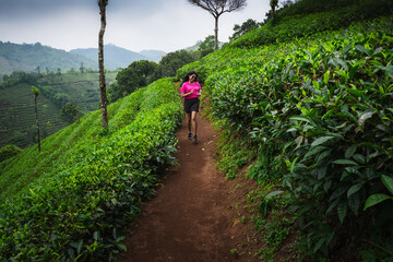 Young Indian woman running through the scenic tea plantations of Kerala, embracing fitness and adventure amidst nature