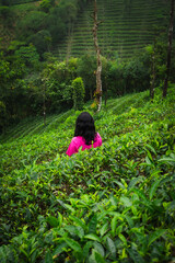 Stylish Indian woman exploring the lush tea gardens of Kerala, enjoying nature and serenity on a solo travel adventure.