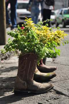 botas