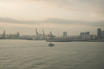 Serene Coastal Sunset Overlooking Waterfront Landscape and Calm Ocean Waves