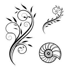 Black floral swirls and nautilus shell design vine leaf
