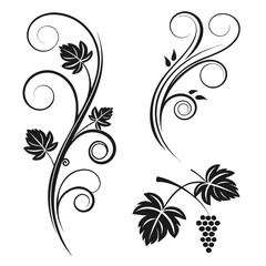 Black swirling vine with leaves and grapes leaf