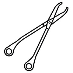 Pair of Kelly Forceps Flat Vector Icon for Surgical Use on White Background