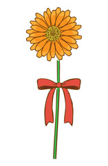 マリーゴールド(キンセンカ)とリボンの手描きイラスト05