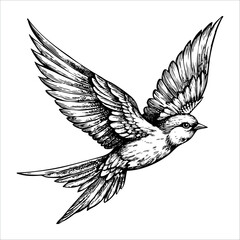 A detailed illustration of a flying bird with outstretched wings. The bird has a sleek body and intricate feather patterns, showcasing its grace in flight.