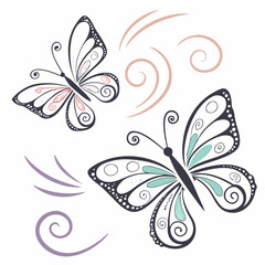 Elegant dark grey butterflies with teal and red accents butterfly insect