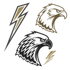 Eagle heads and lightning bolts falcon hawk