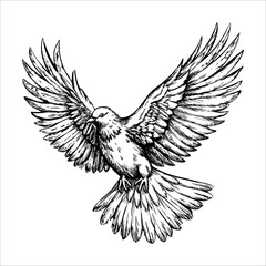 A detailed sketch of a bird in flight, showcasing its wings spread wide. The bird has a rounded body and a distinct beak, emphasizing its graceful movement.