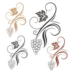 Grape vine flourishes with leaves and clusters decorative