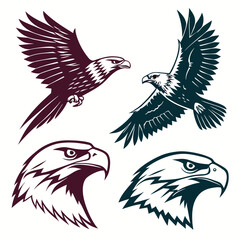 Majestic Eagles in Flight and Head Profiles falcon