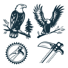 Majestic eagles and wilderness tools hawk bird