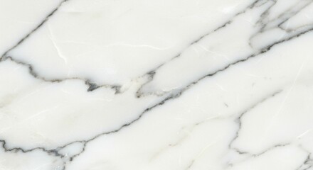 Obraz premium Marble Texture Background with Delicate Veining Pattern