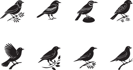 Obraz premium set of birds