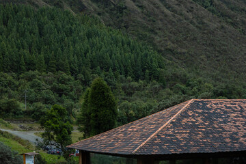 Parque Nacional Cajas en la Provincia de Azuay en Cueca, Ecuador. Una especie de paramo con diversidad de animales, senderos que atraviesan bosques nubosos de hoja perenne y sus cientos de lagunas.