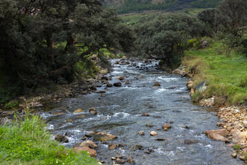Parque Nacional Cajas en la Provincia de Azuay en Cueca, Ecuador. Una especie de paramo con diversidad de animales, senderos que atraviesan bosques nubosos de hoja perenne y sus cientos de lagunas.