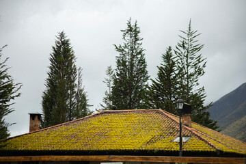 Parque Nacional Cajas en la Provincia de Azuay en Cueca, Ecuador. Una especie de paramo con diversidad de animales, senderos que atraviesan bosques nubosos de hoja perenne y sus cientos de lagunas.