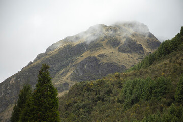 Parque Nacional Cajas en la Provincia de Azuay en Cueca, Ecuador. Una especie de paramo con diversidad de animales, senderos que atraviesan bosques nubosos de hoja perenne y sus cientos de lagunas.
