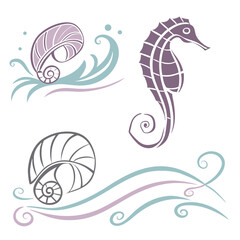 Purple seahorse and seashells with aqua waves nautilus
