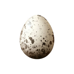 Single Fresh Quail Egg Isolated on White Background