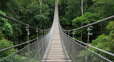 Suspension bridge crossing through a lush green rainforest canopy