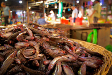 Close up photograph of fish at a market in Siem Reap, Cambodia
